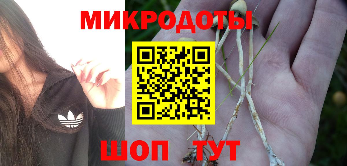 Галлюциногенные грибы Cubensis  Псилоцибиновые грибы мицелий  Вход с VPN  Ижевск 